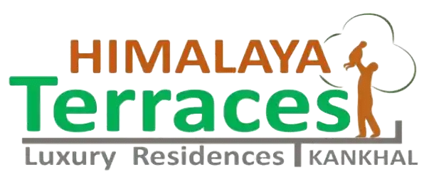 Our Partner