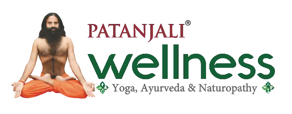 Our Partner